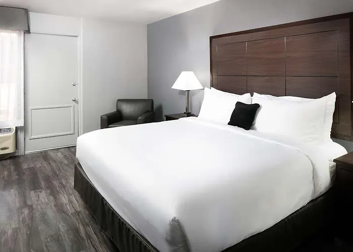 Hotel Red Lion Downtown 2*